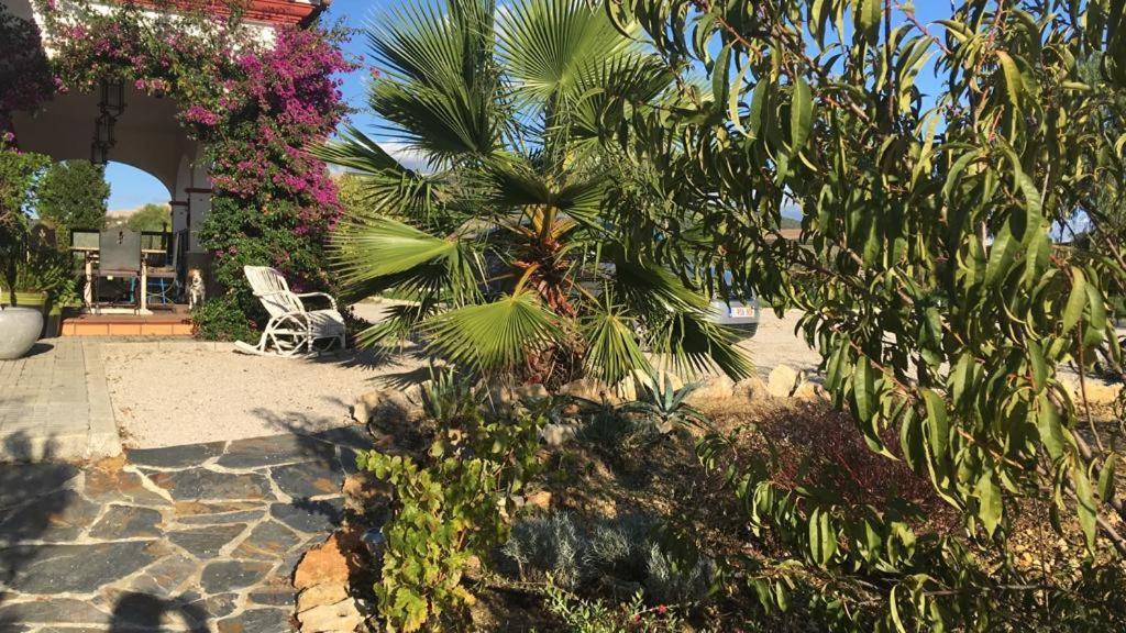 Villa Entre Mer Et Montagne Arcos de la Frontera Bagian luar foto