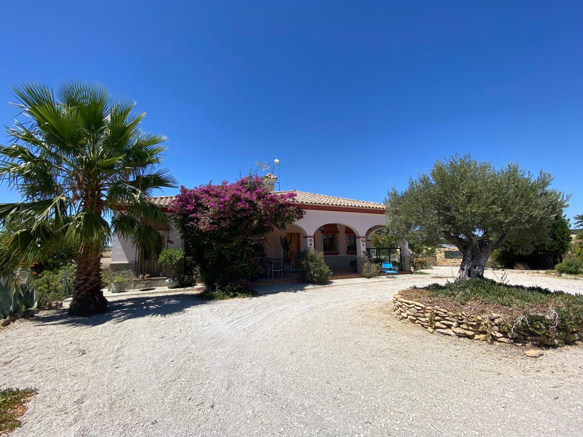 Villa Entre Mer Et Montagne Arcos de la Frontera Bagian luar foto
